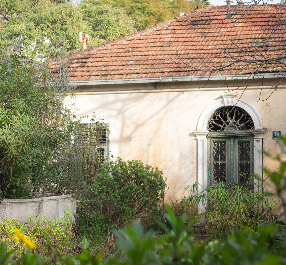 Photograph by Оксана Бочина