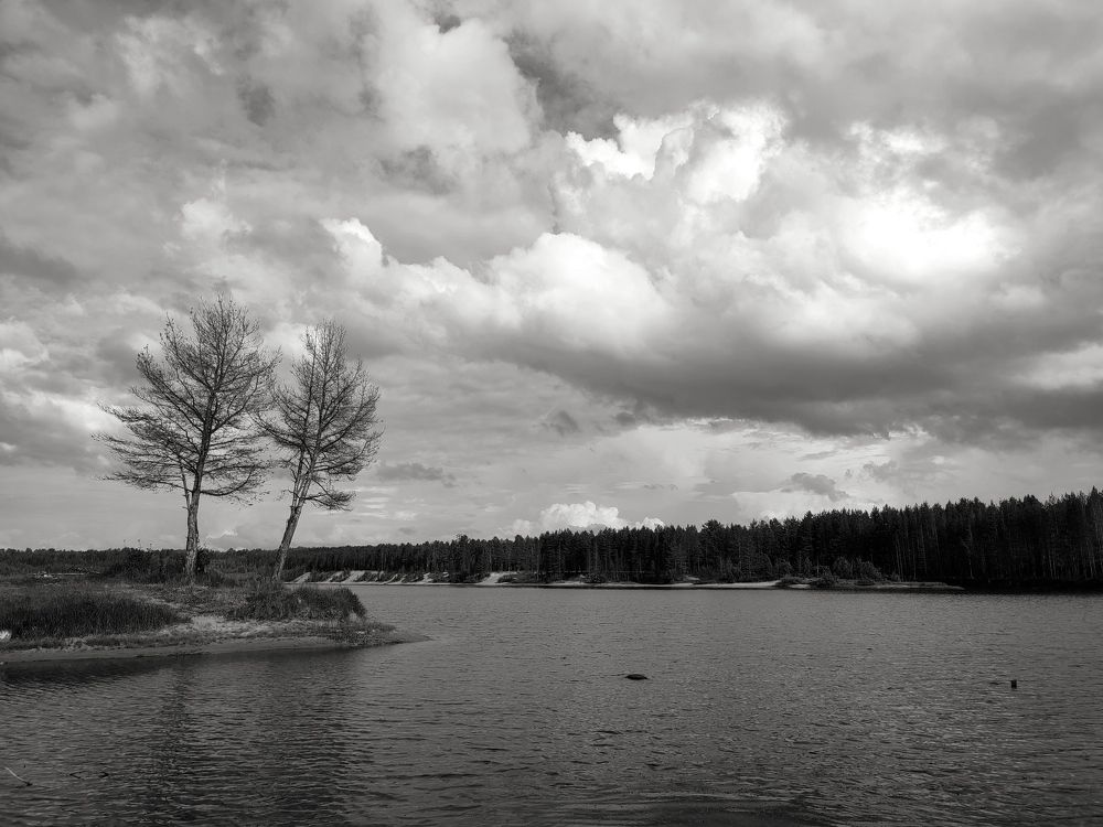 Photograph by Наталья Коншина