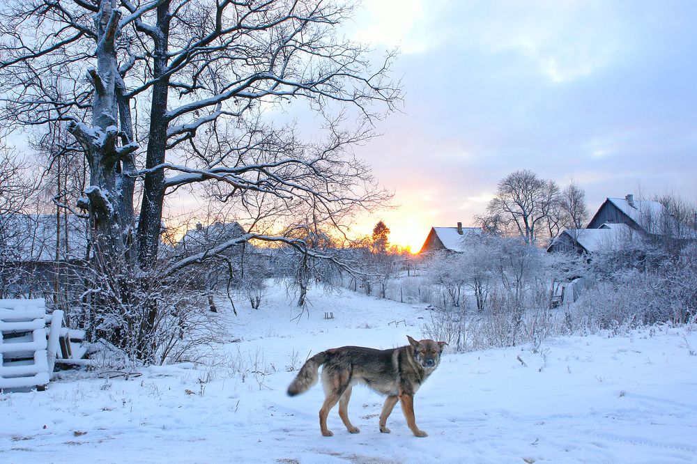 Photograph by Наталья Суслова