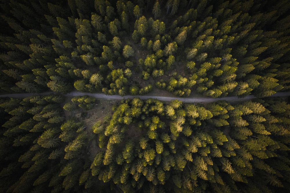 Photograph by Dejan Zakic