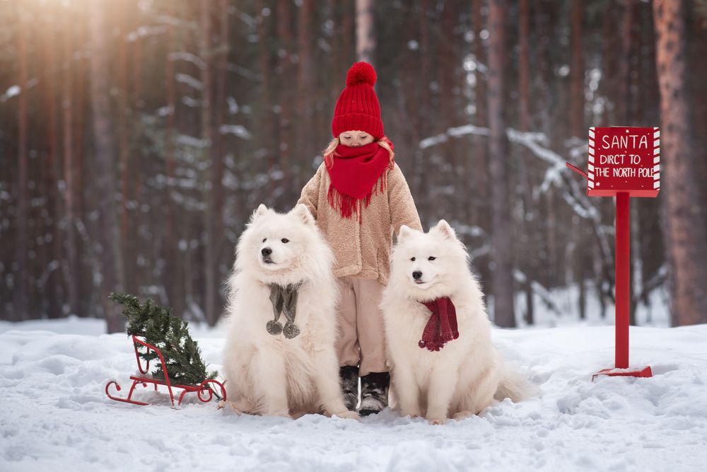 Photograph by Вероника Алатырева