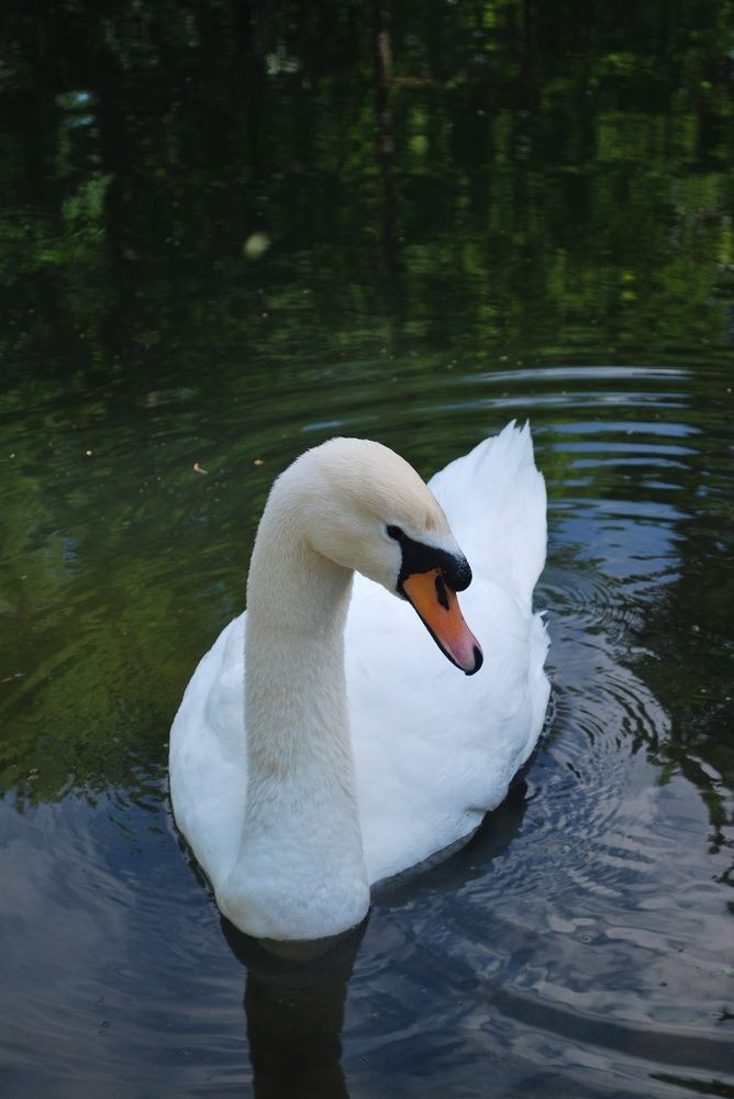 Photograph by Анастасия Юдина