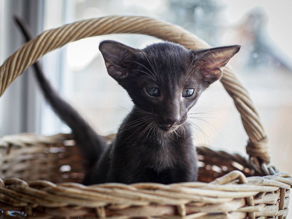 Photograph by Зоя Коробенко