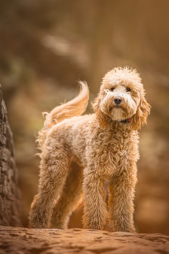 Photograph by Agnieszka Wieczorek