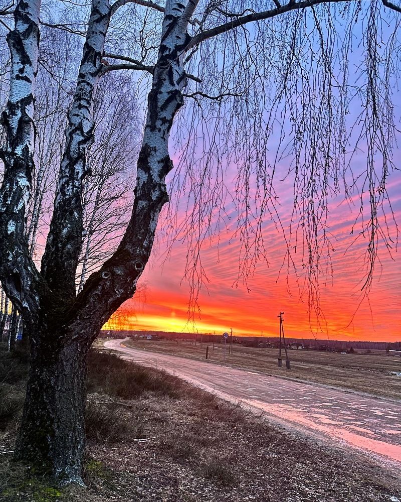 Photograph by Лариса Акинчиц