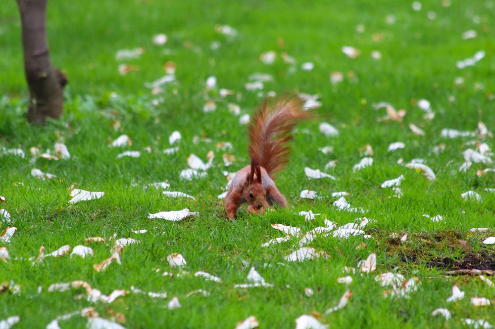 Photograph by Мари Полищук