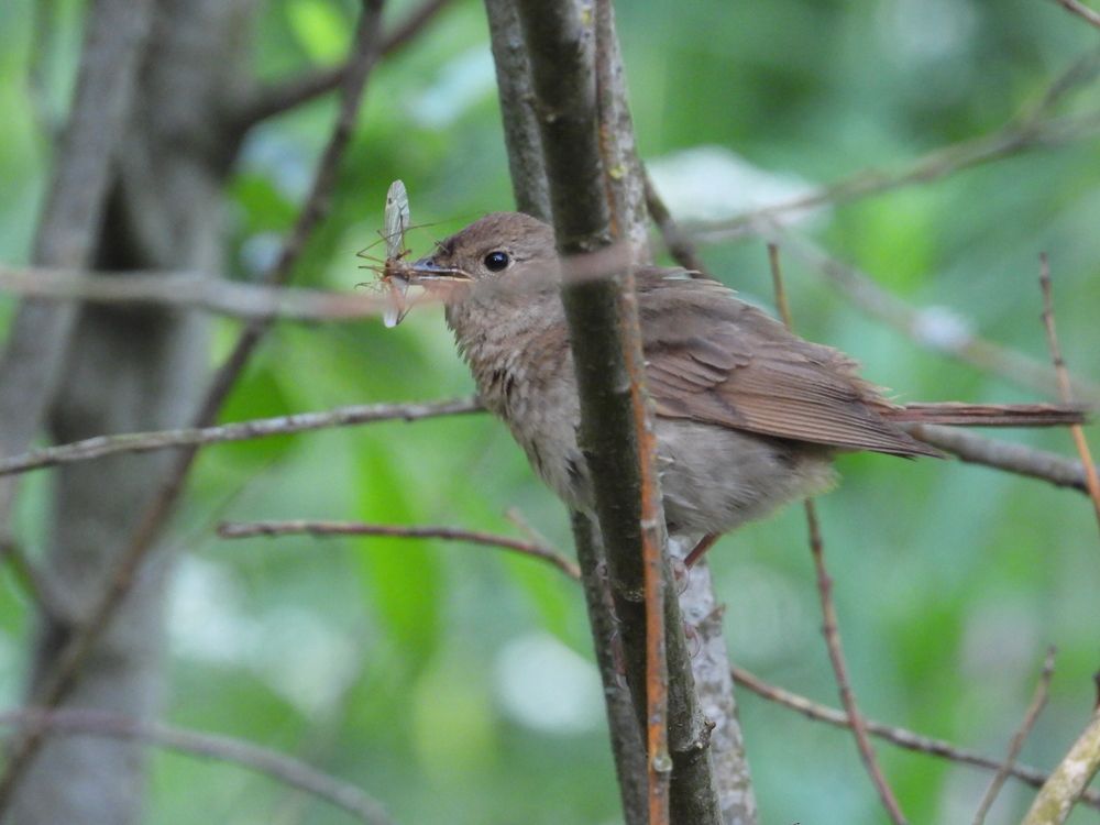 Photograph by Владимир Джерихов