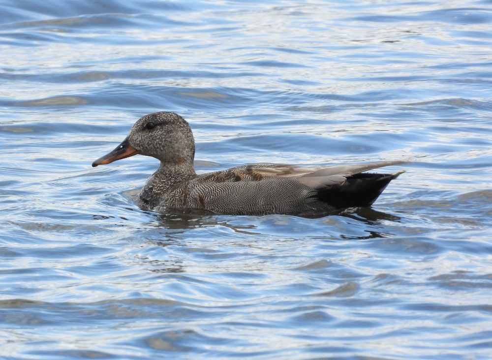 Photograph by Владимир Джерихов