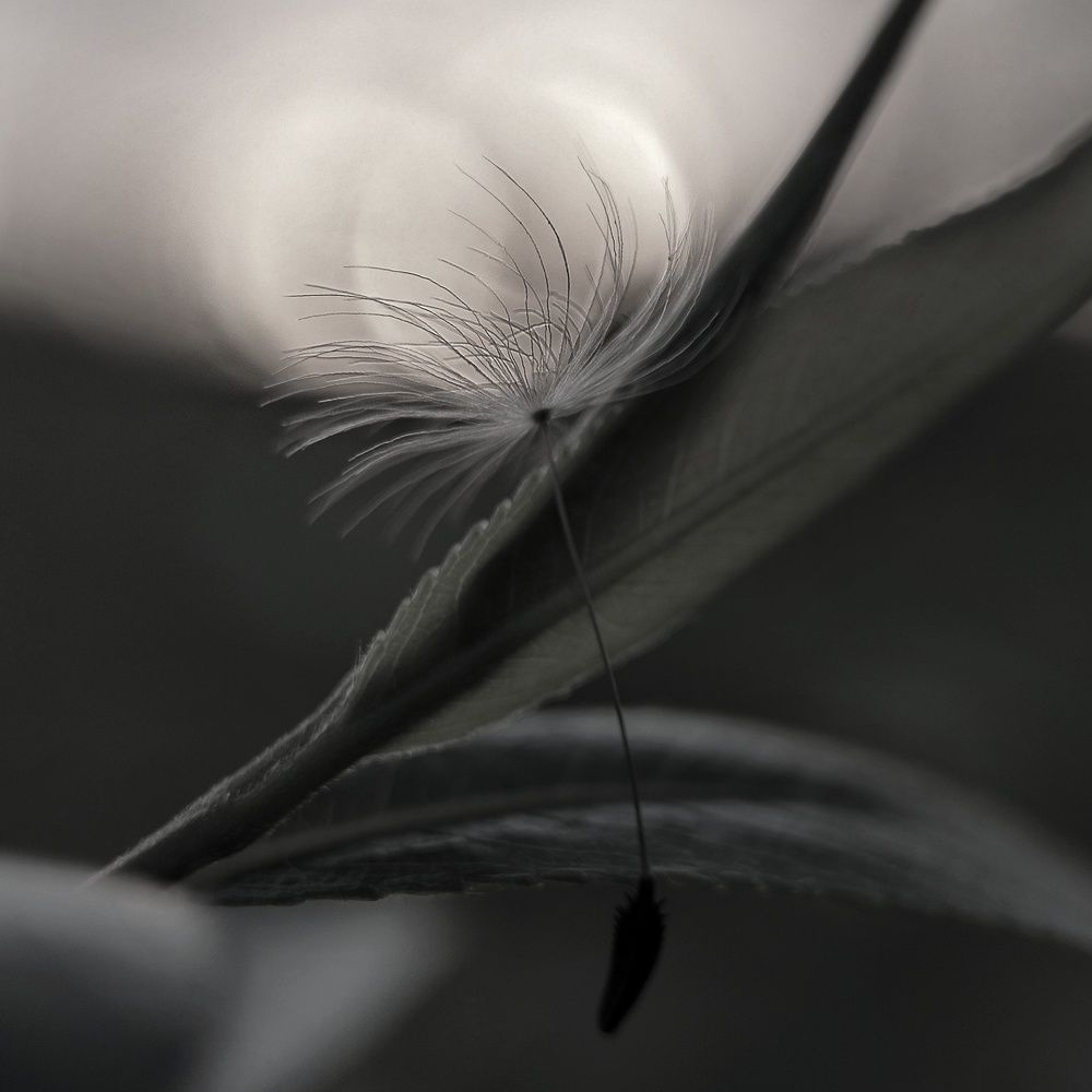 Photograph by Natali AB