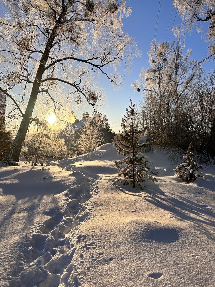 Photograph by Лариса Акинчиц