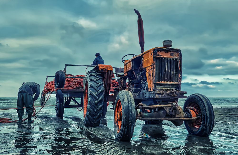 Photograph by Mohammad Daliri Far