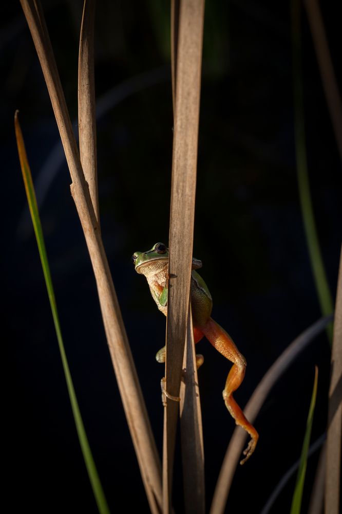 Photograph by Александр Ильин