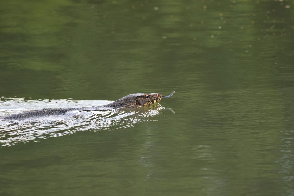 Photograph by Alexey