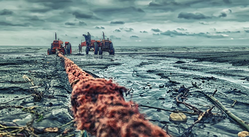 Photograph by Mohammad Daliri Far