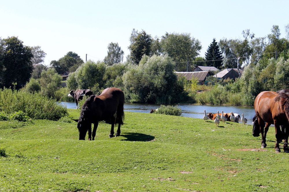 Photograph by Александр Гришин