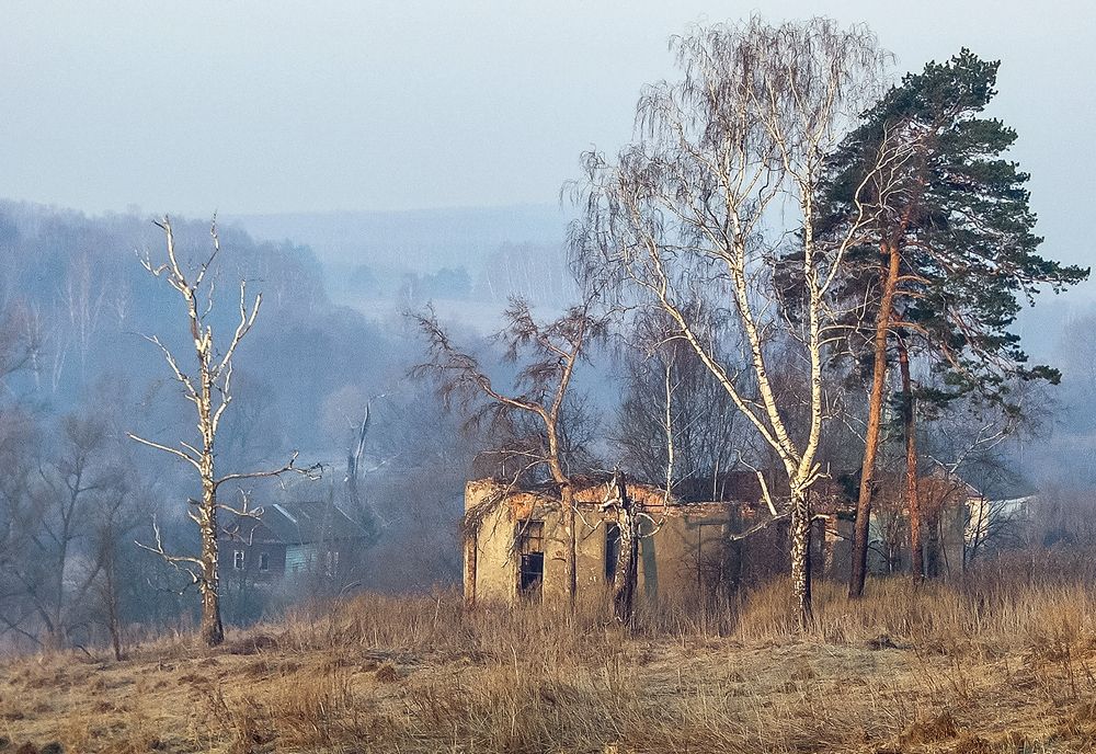 Photograph by Алексей Окунеев