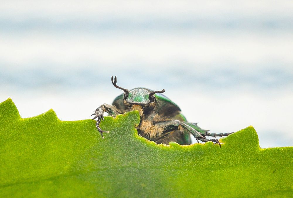 Photograph by Олеся zme