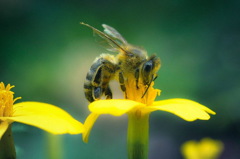 Photograph by Олеся zme