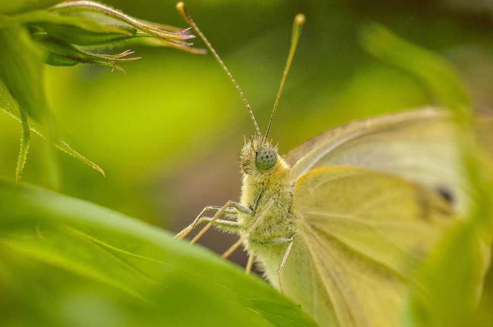 Photograph by Олеся zme