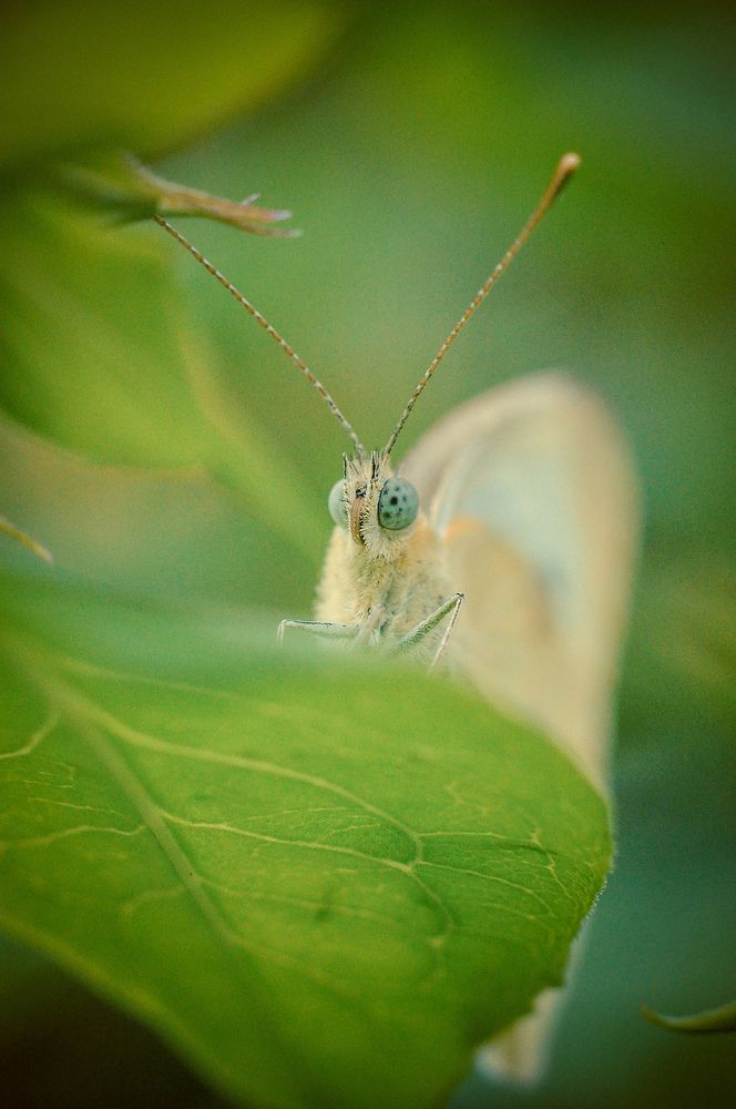 Photograph by Олеся zme