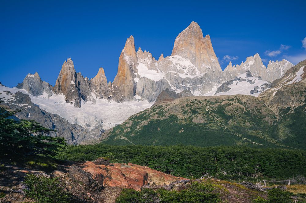 Величественный Фицрой