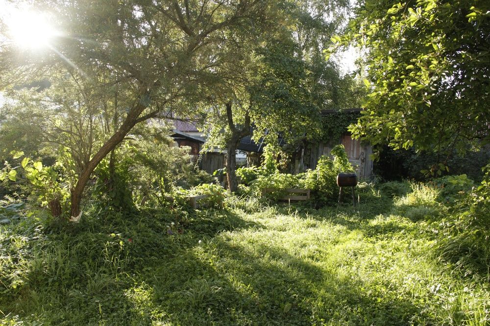 Photograph by Анна Мещерина