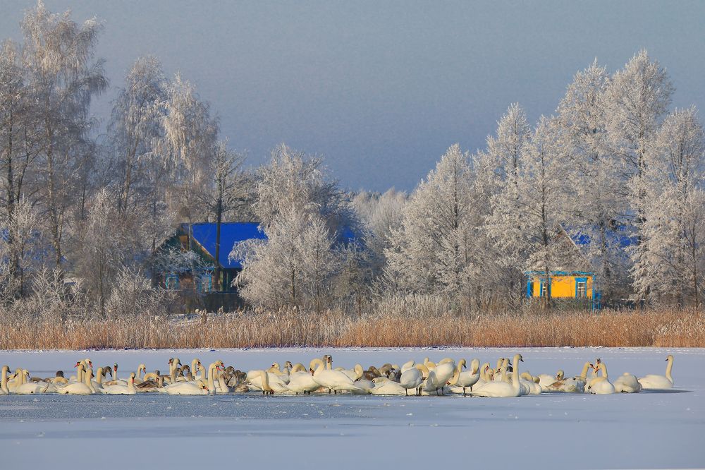 Зимний день.