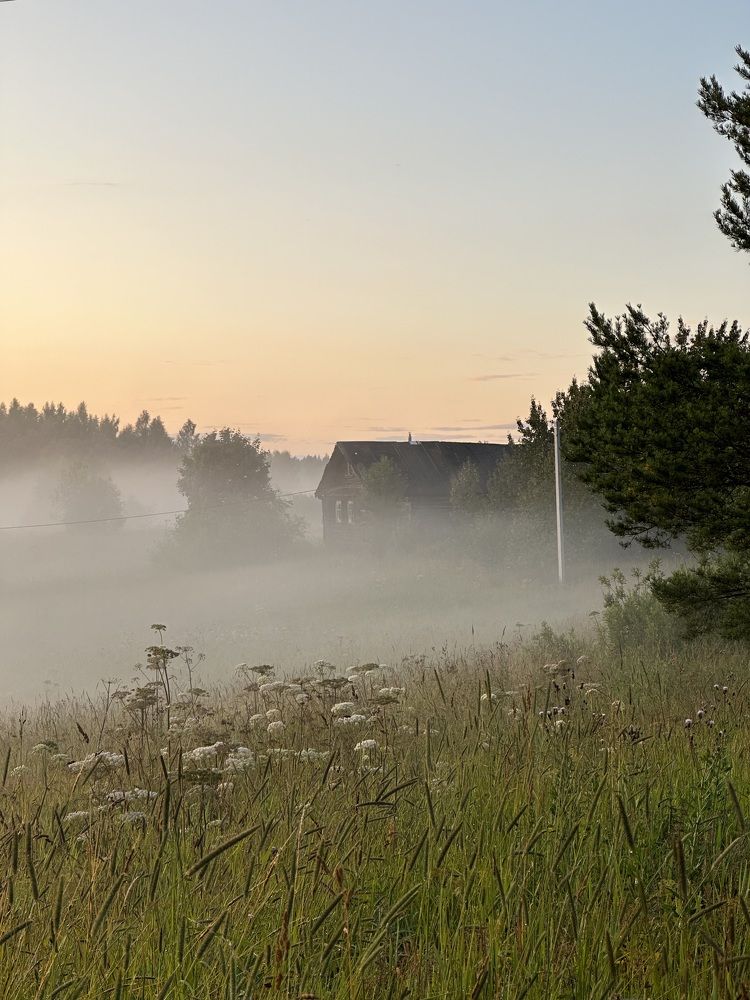 Photograph by Marina Argunova