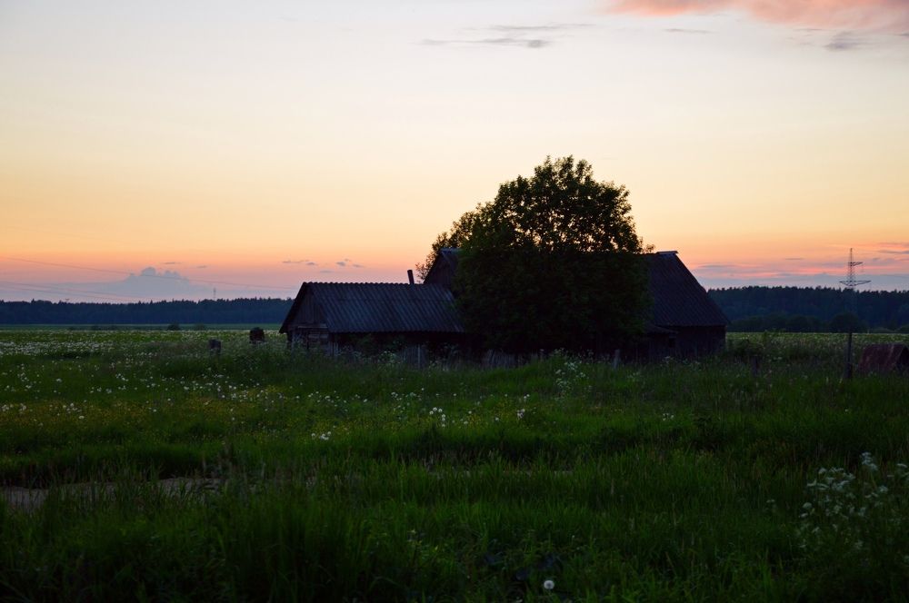 Photograph by Анна Мещерина