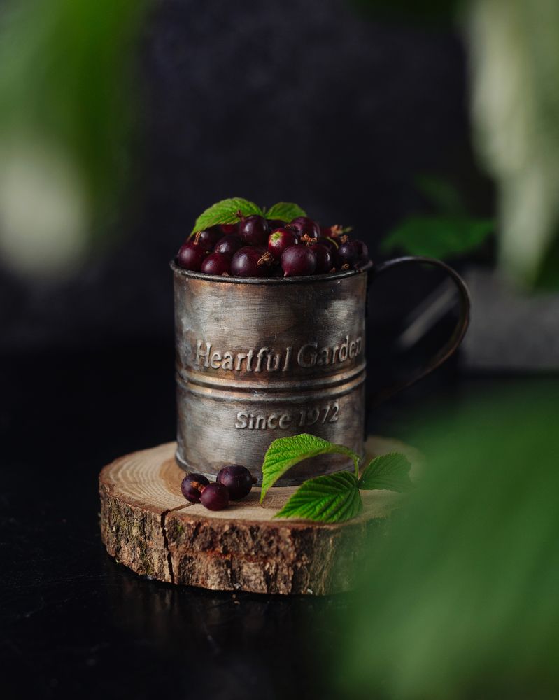 Photograph by Дарья Гомза