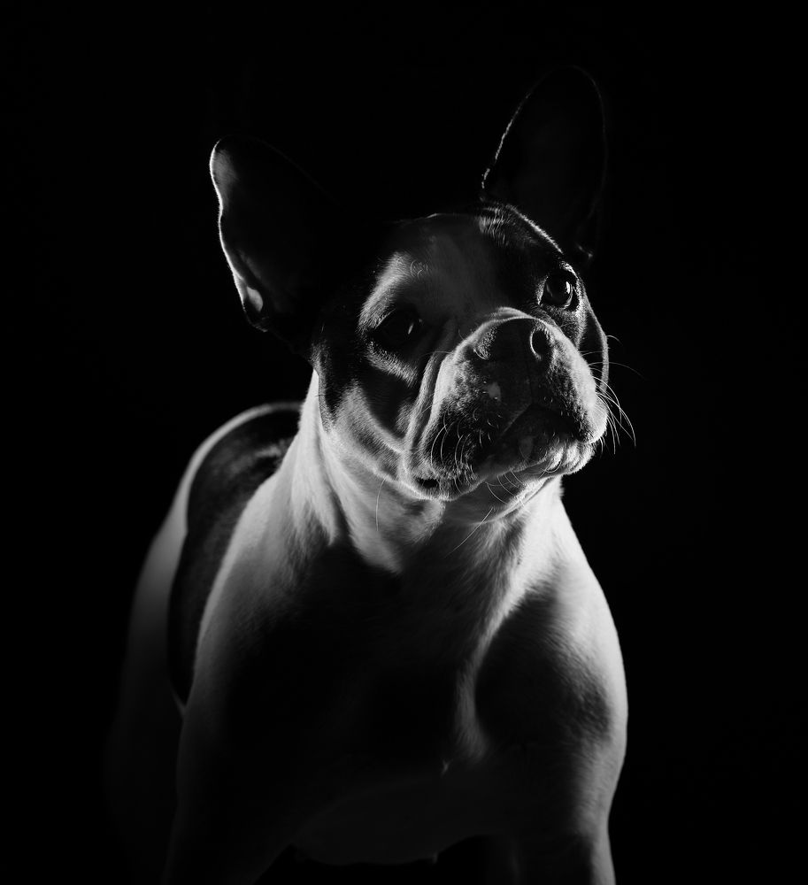 Photograph by Александр Шемятенков