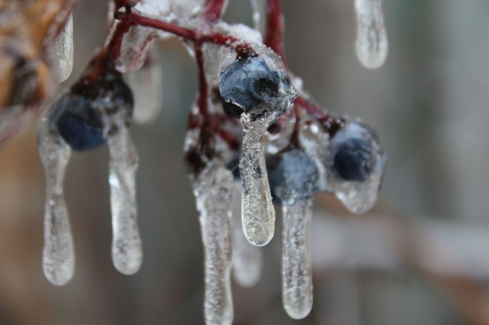 Photograph by Юлия Рыбинцева