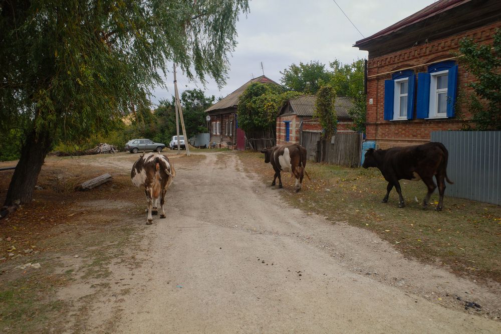 Photograph by Алла Никушкина