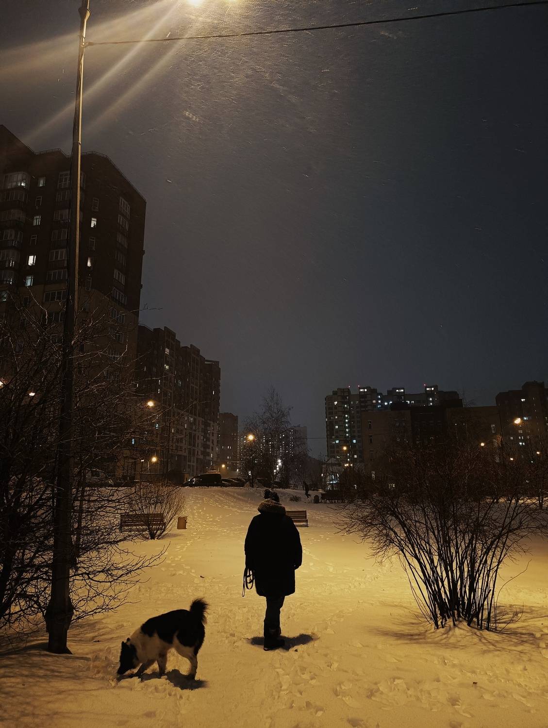 Photo #10227087