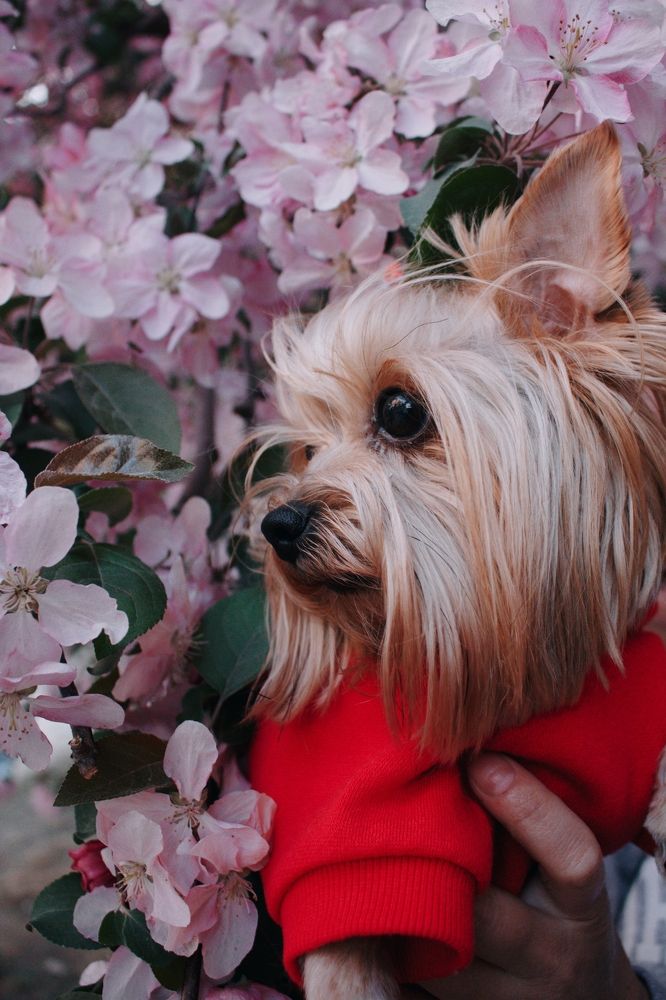 Photograph by Anastasia Anikina