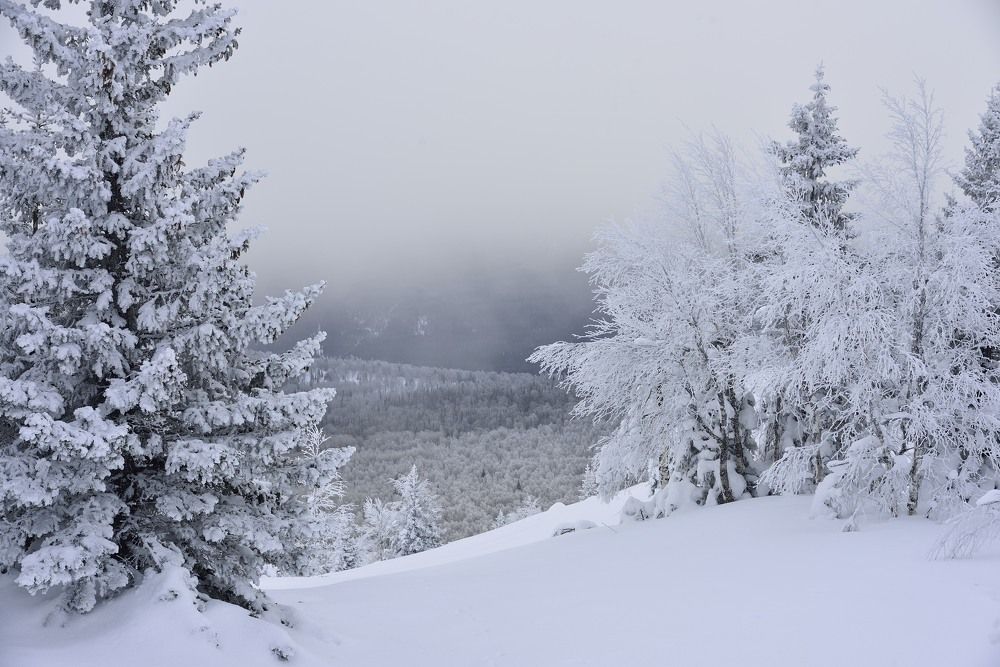 Photograph by Павел Фёдоров