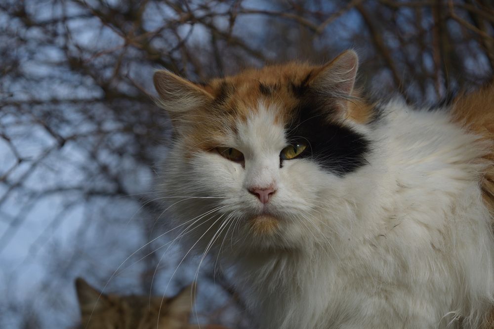 Photograph by Владислав Циклинский