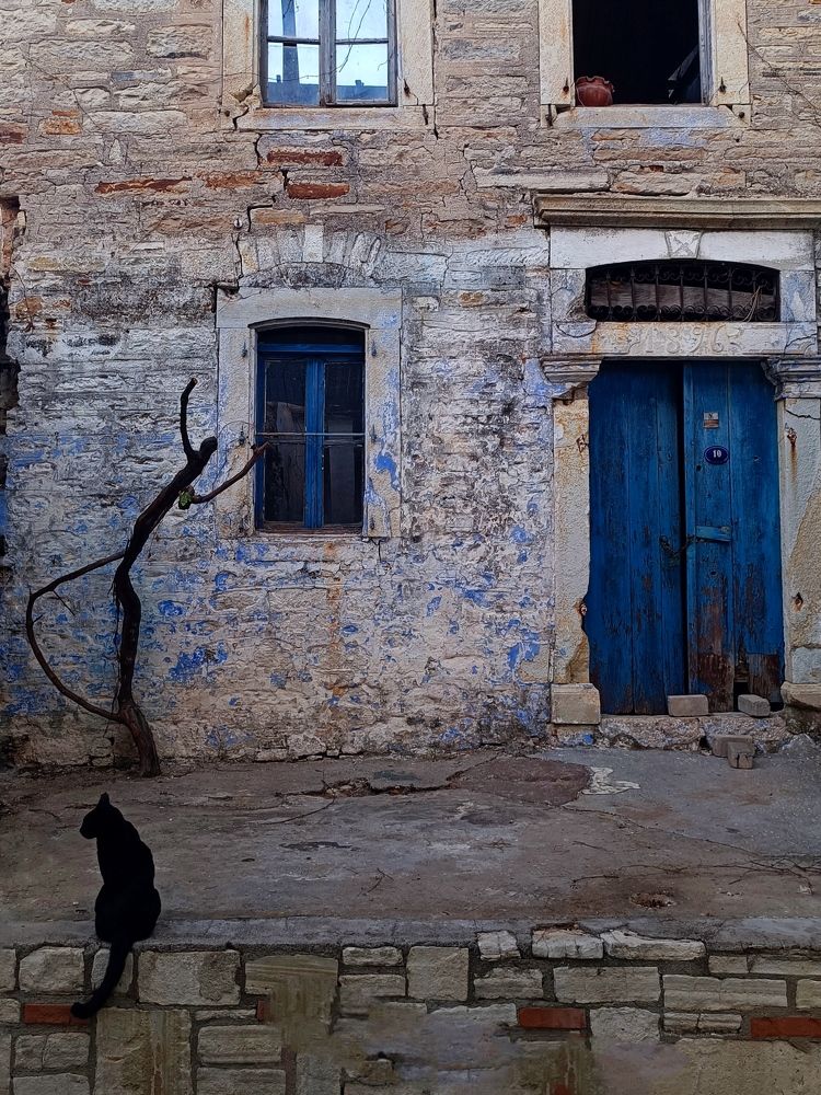 Photograph by Татьяна Шевелева