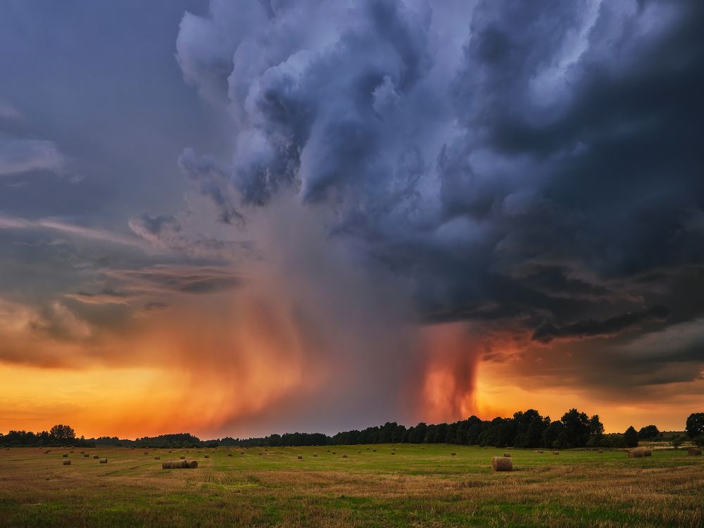 В поле перед грозой