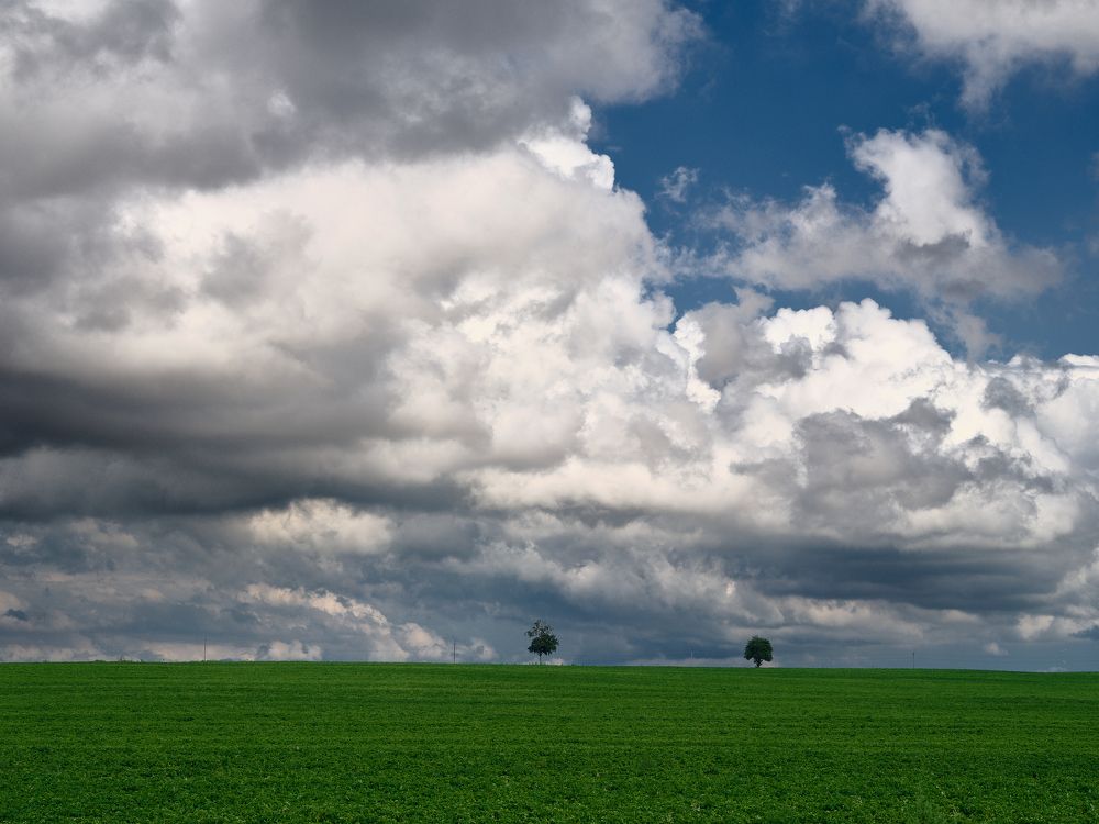 Photograph by Леонид Якутин