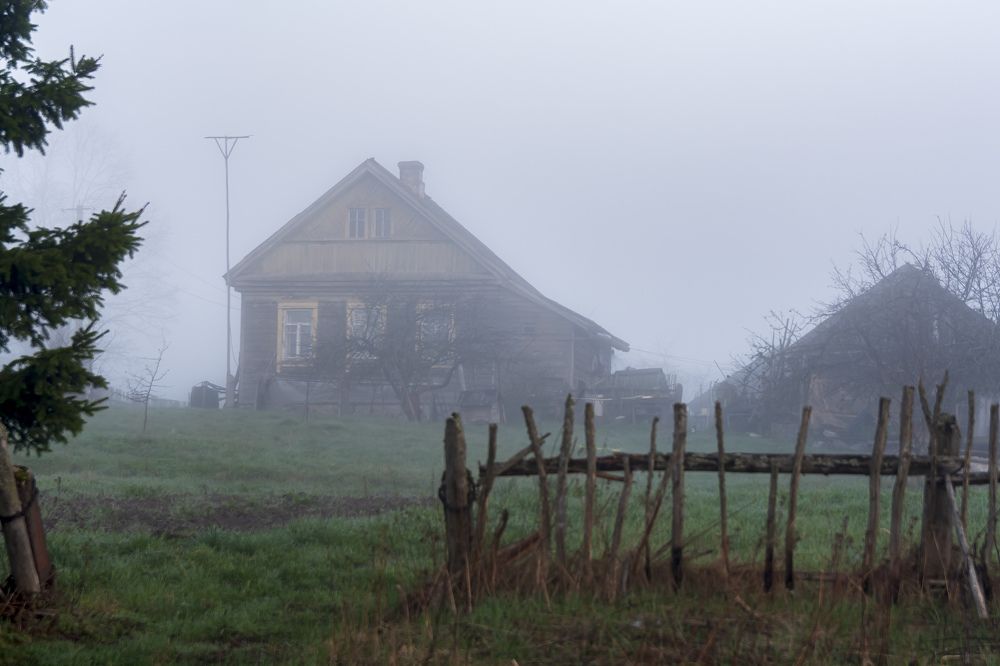 Photograph by Шутов Владимир