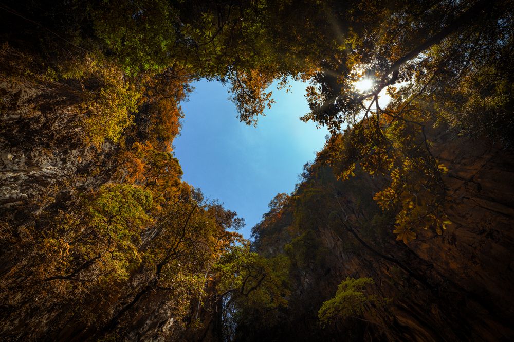 Photograph by Abdullah Al Battah