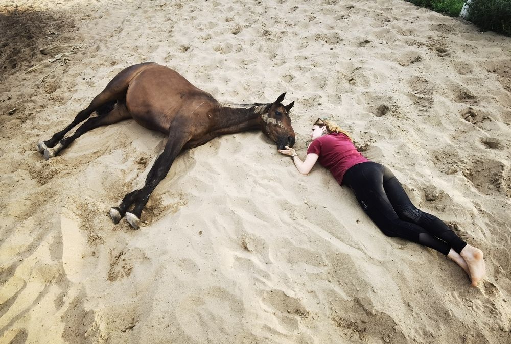 Фотография автора Елена Гордиевская