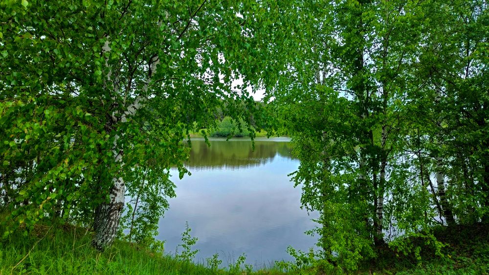 Photograph by Алина Кортикова