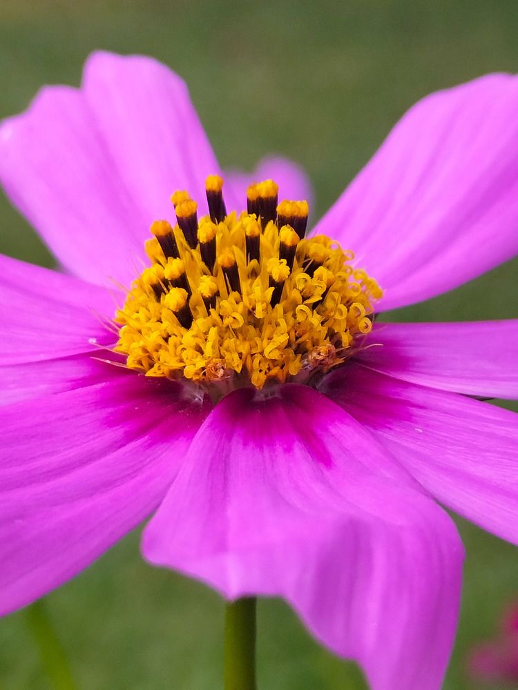 Фотография автора Bernadette Pretorius