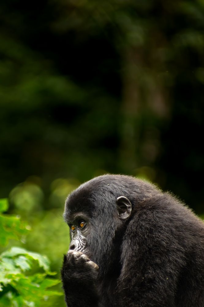 Photograph by Sara Fernandes