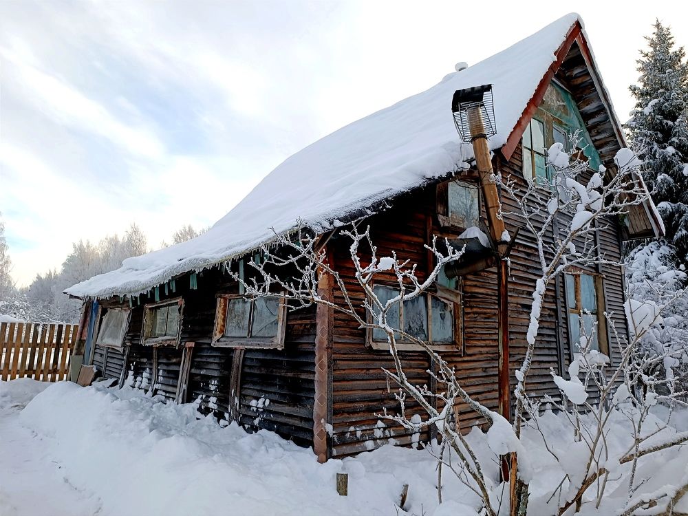 Фотография автора Мария Коледа