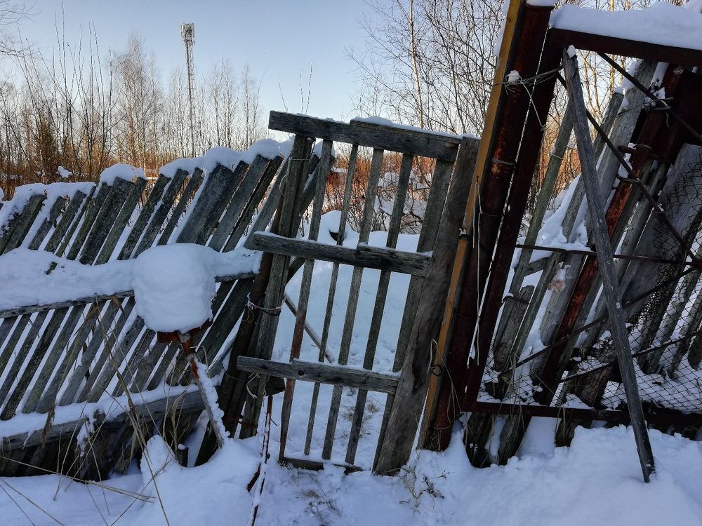 Фотография автора Мария Коледа