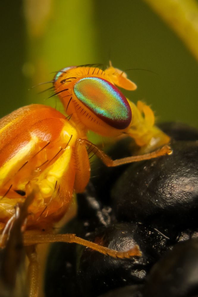 Photograph by Bruna Pinto Pereira