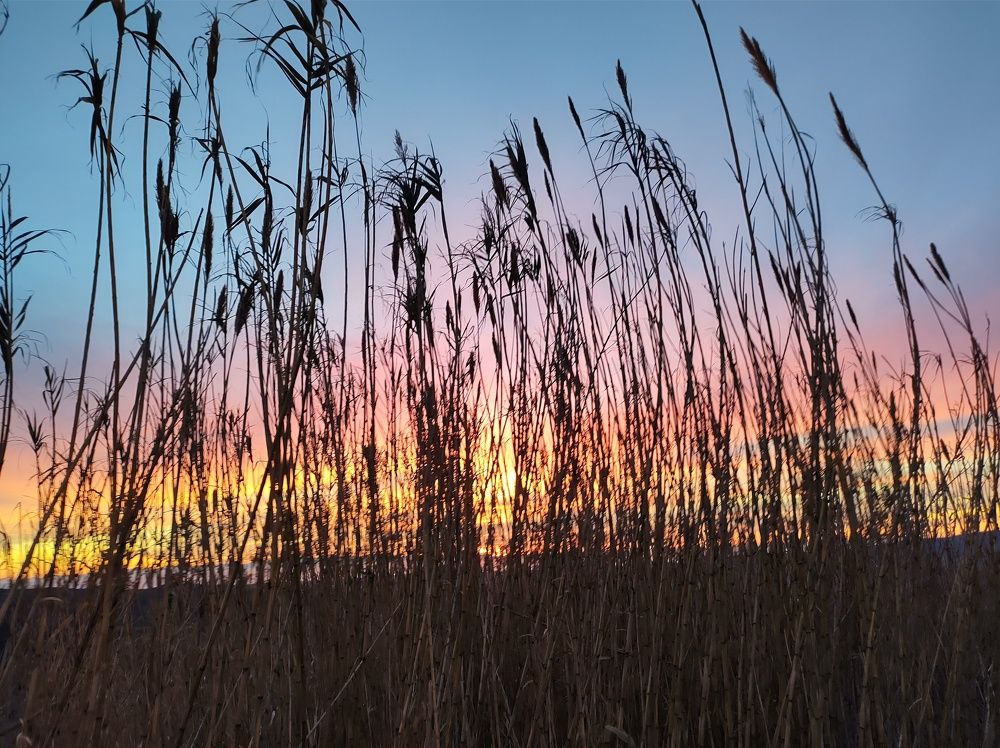 Photograph by Lina Invers